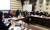 چارچوب برنامه هاي اجرايي مسئولين بخشهاي كودكان ،نوزادان سال96 استان ترسيم گرديد
