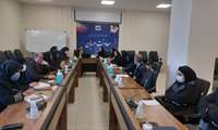 جلسه هم‌اندیشی  بهبود خدمات حمایتی از زنان آسیب‌پذیر در مراکز درمانی استان
