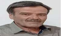 نبض دوباره زندگی