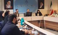 دومین کارگروه سقط عمدی جنین تشکیل جلسه داد