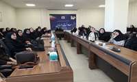 اداره مامایی معاونت درمان دانشگاه ، دوره آموزشی جامع با عنوان مروری بر خدمات تخصصی بسته خدمتی نوزاد سالم را برگزار کرد