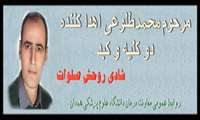 زندگی دوباره سه بیمار نیازمند پیوند عضو