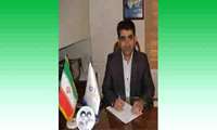 زالوهای استاندارد برای درمان 